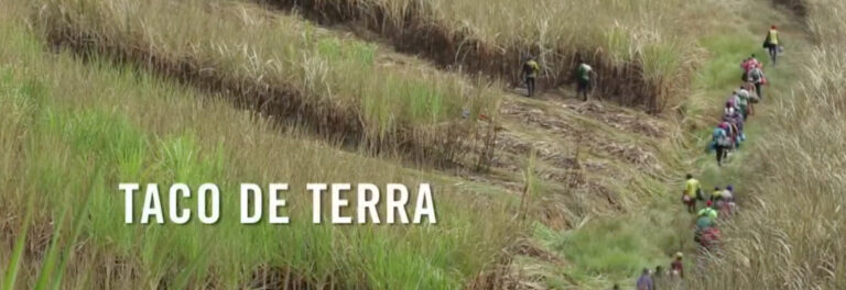 Taco de Terra