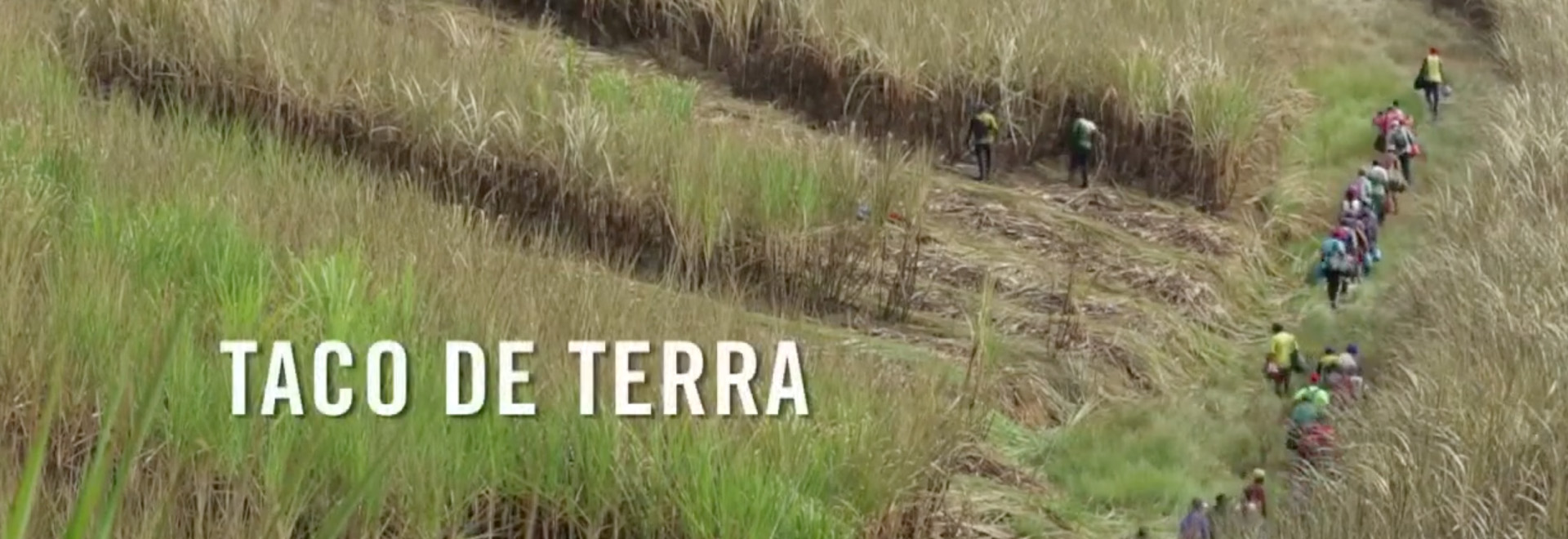 Taco de Terra